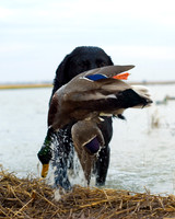 Hunting/Fishing