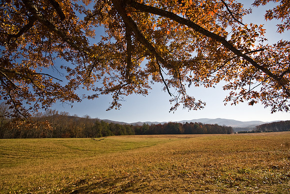 Cades Cove