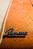 CopperHead Camaro